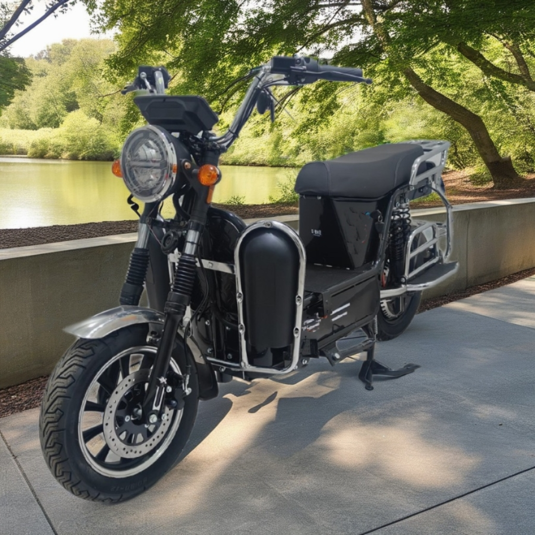 EV BIKE