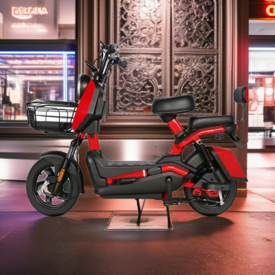 E6 BIKE